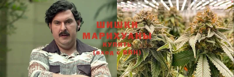 МАРИХУАНА Ganja  Коммунар 